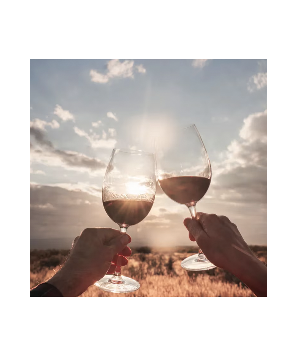 Estancia Mendoza Malbec
