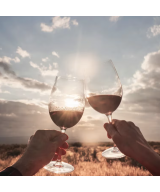 Estancia Mendoza Malbec