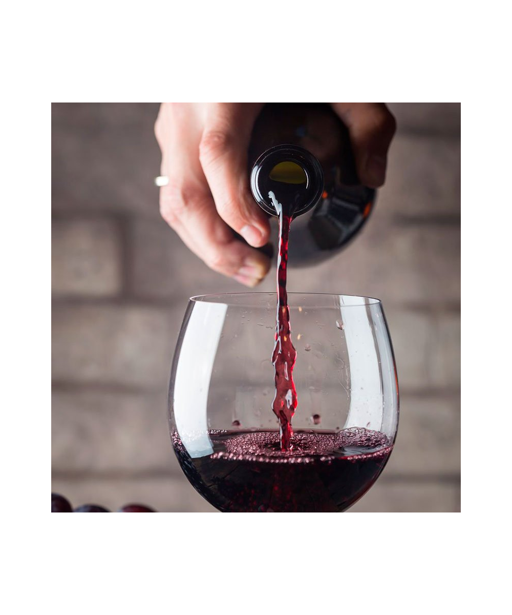 Vino Veramonte Colores Merlot Orgánico