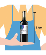 Vino Veramonte Colores Merlot Orgánico