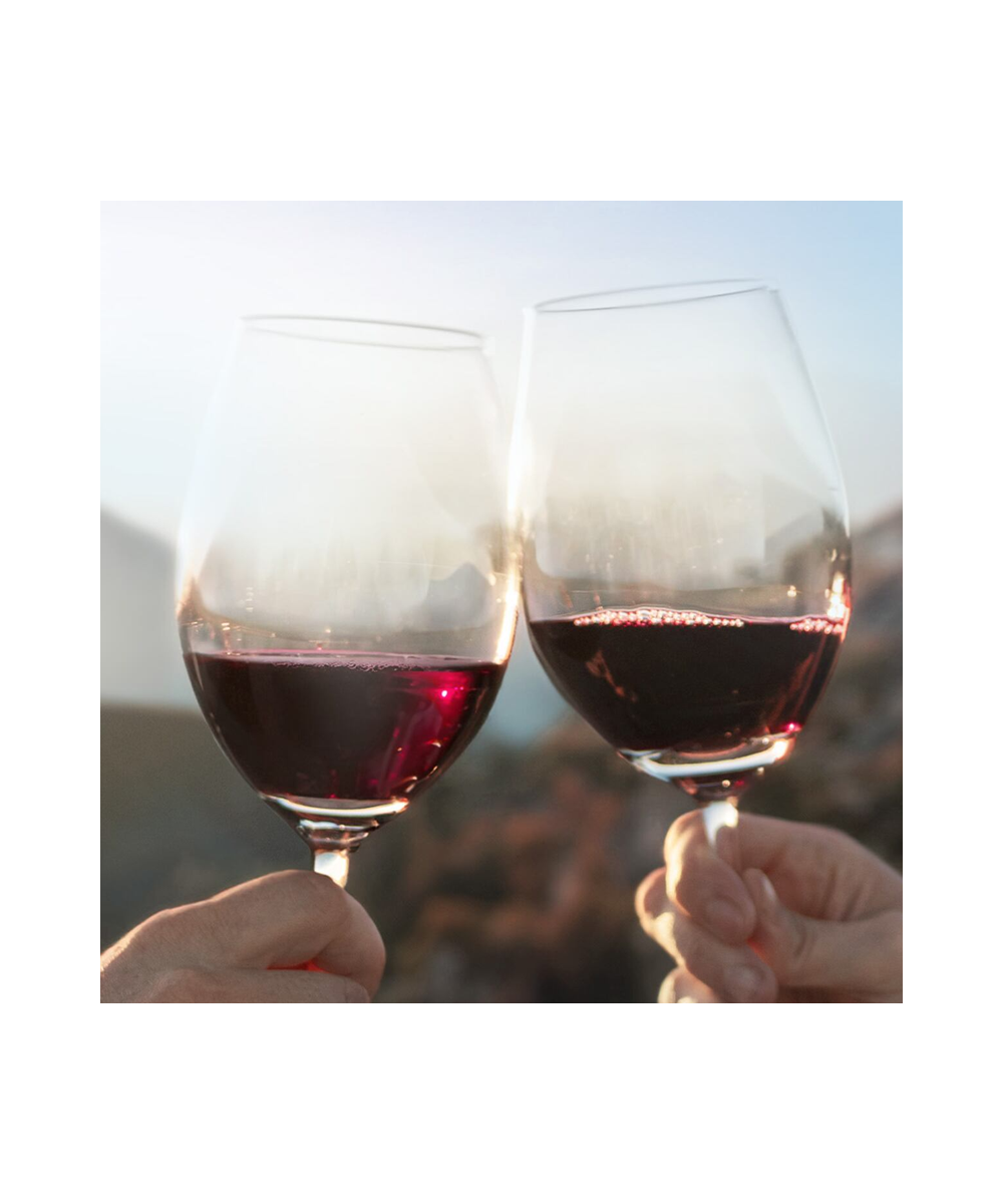 Vino Veramonte Colores Cab. Sauvignon Orgánico