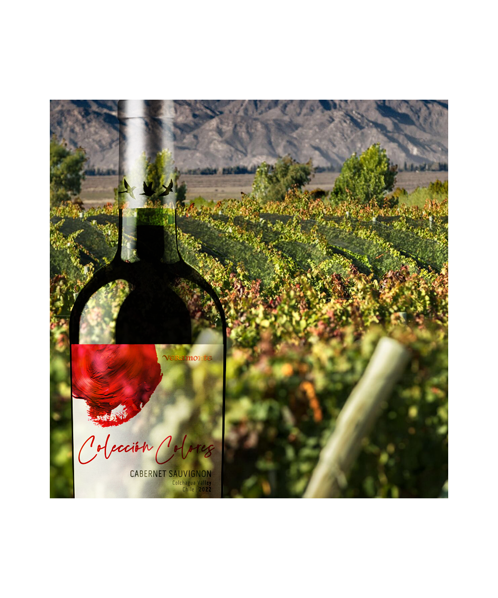 Vino Veramonte Colores Cab. Sauvignon Orgánico