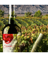 Vino Veramonte Colores Cab. Sauvignon Orgánico