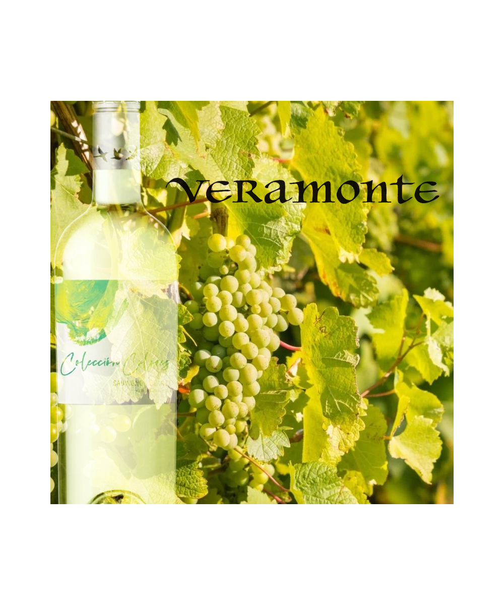 Vino Veramonte Colores Sauv Blanc Orgánico