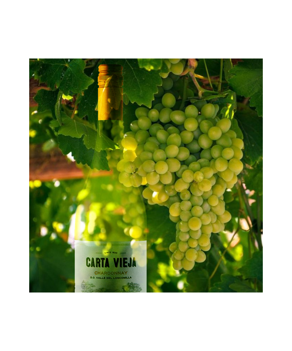 Carta Vieja - Chardonnay