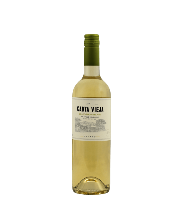 Carta Vieja - Sauvignon Blanco