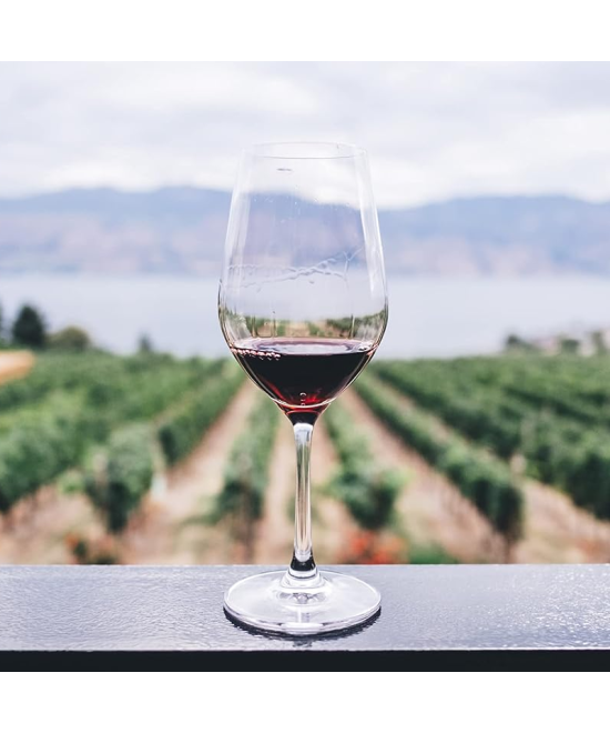 770 Miles - Cabernet Sauvignon