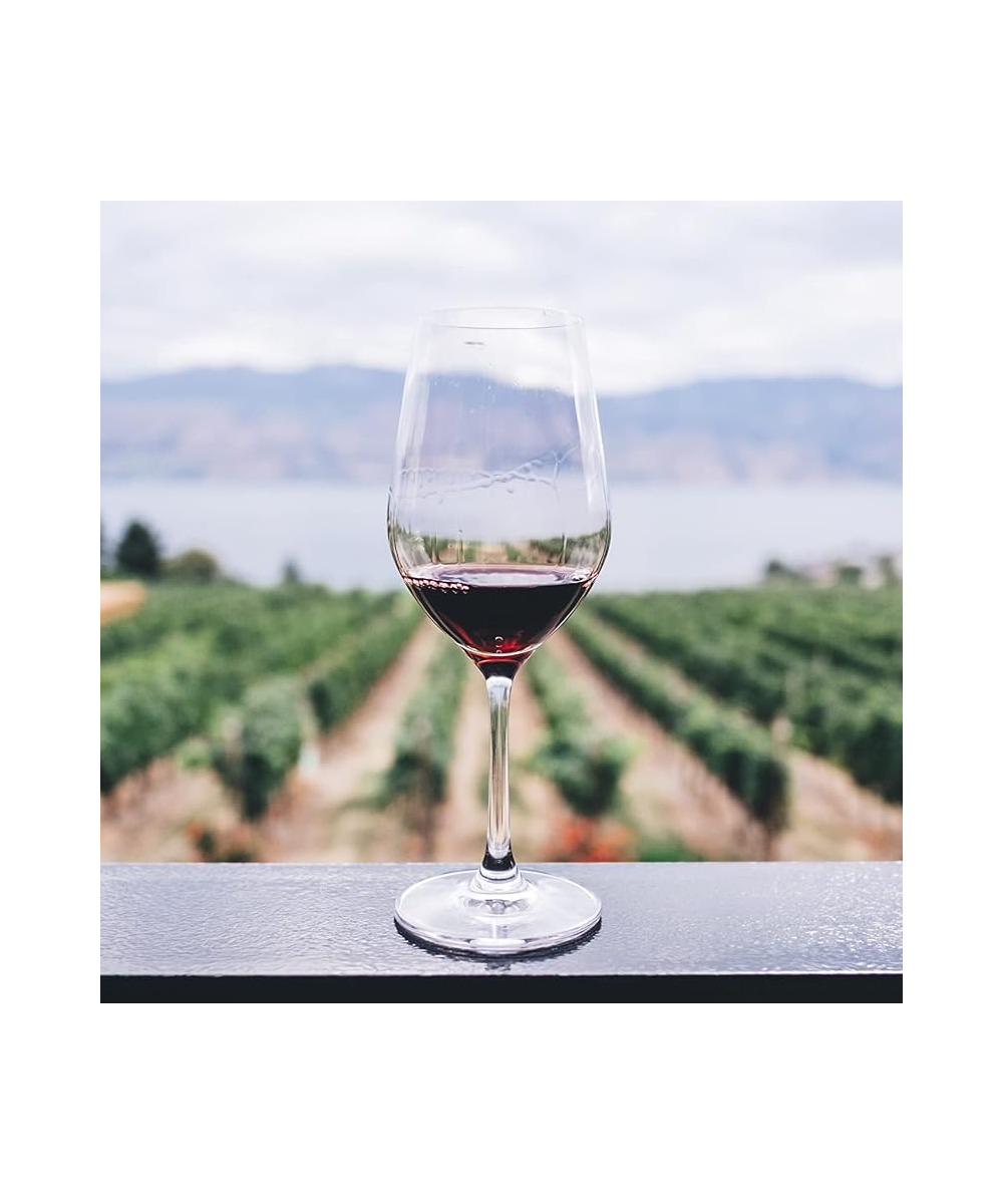 770 Miles - Cabernet Sauvignon
