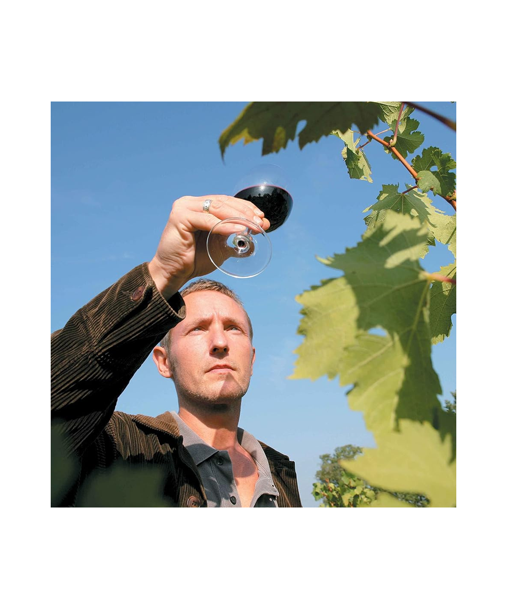 J.P. Chenet Merlot