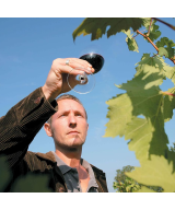 J.P. Chenet Merlot